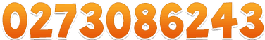 0273086243